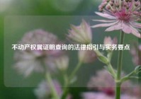 不动产权属证明查询的法律指引与实务要点