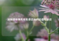 深圳律师事务所免费咨询的价值与途径