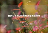 住房公积金贷款额度法律规制探析