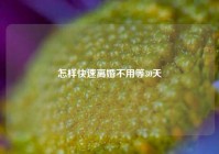 怎样快速离婚不用等30天