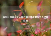 深圳社保查询个人账户的法律依据与个人权益保障