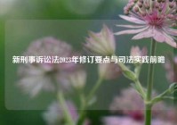 新刑事诉讼法2023年修订要点与司法实践前瞻