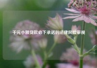 千元小额贷款必下承诺的法律风险审视