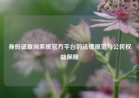 身份证查询系统官方平台的法律规范与公民权益保障