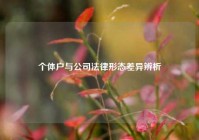 个体户与公司法律形态差异辨析