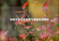 老赖失信惩戒期限与解除机制探析