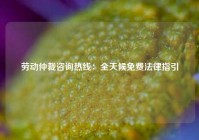 劳动仲裁咨询热线：全天候免费法律指引