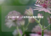 三人殴打致一人轻伤的法律责任判定