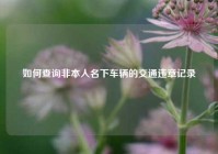 如何查询非本人名下车辆的交通违章记录