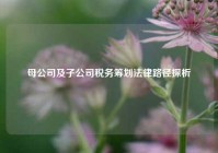 母公司及子公司税务筹划法律路径探析