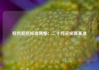 轻伤赔偿标准调整：二十万元成新基准