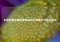 全国车辆交通违章查询的法律意义与规范路径