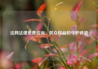 法网法律免费咨询：民众权益的守护桥梁