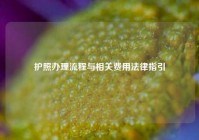 护照办理流程与相关费用法律指引
