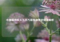 小规模纳税人五百万销售额界定标准解析