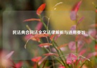 民法典合同法全文法律解析与适用要旨
