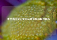 查交通违章记录的法律依据与程序解析