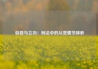  自首与立功：刑法中的从宽情节探析