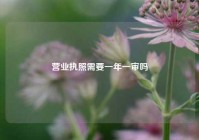 营业执照需要一年一审吗