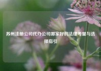 苏州注册公司代办公司哪家好的法律考量与选择指引