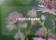 公司并购法律流程解析