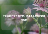 广州有房产可以落户吗：法律视角下的户籍政策解析
