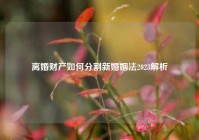 离婚财产如何分割新婚姻法2023解析
