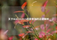 关于HGH122GOVCN违章查询的法律解析