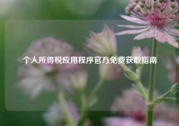 个人所得税应用程序官方免费获取指南
