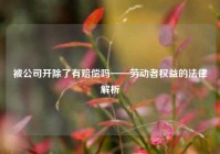 被公司开除了有赔偿吗——劳动者权益的法律解析