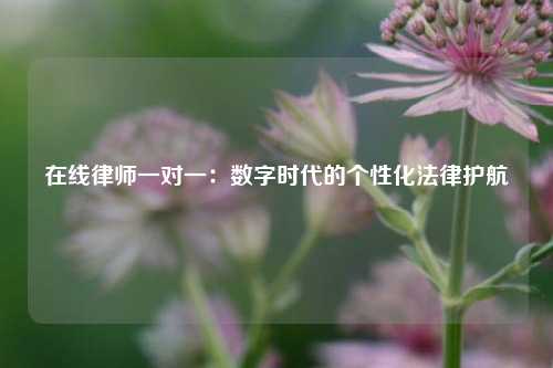 在线律师一对一：数字时代的个性化法律护航