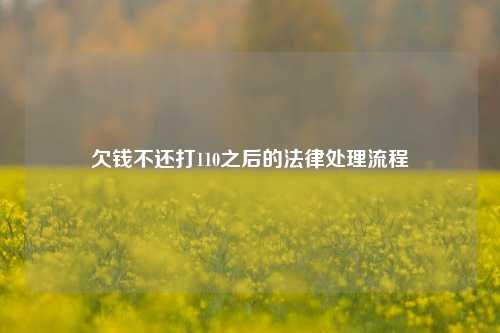 欠钱不还打110之后的法律处理流程