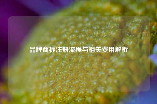 品牌商标注册流程与相关费用解析