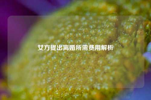 女方提出离婚所需费用解析