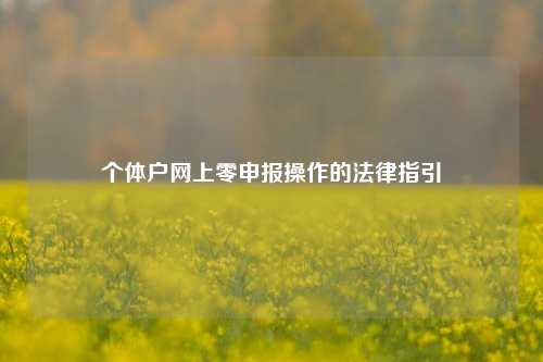 个体户网上零申报操作的法律指引