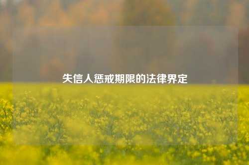 失信人惩戒期限的法律界定