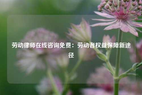 劳动律师在线咨询免费:劳动者权益保障新途径