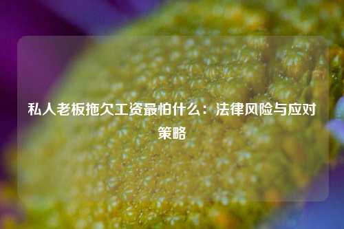 私人老板拖欠工资最怕什么：法律风险与应对策略
