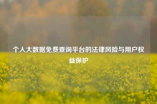 个人大数据免费查询平台的法律风险与用户权益保护