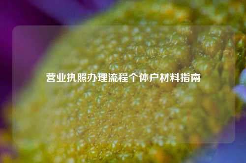 营业执照办理流程个体户材料指南