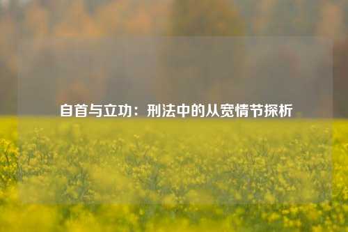  自首与立功：刑法中的从宽情节探析