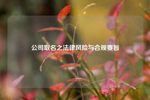 公司取名之法律风险与合规要旨