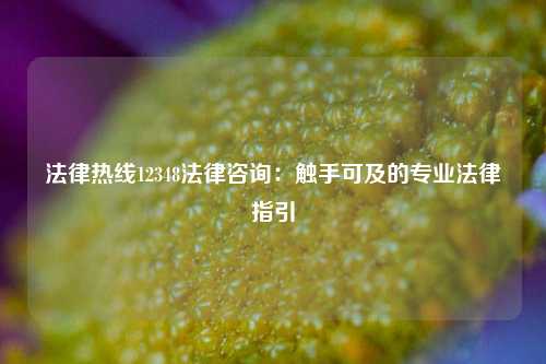 法律热线12348法律咨询：触手可及的专业法律指引