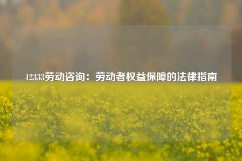 12333劳动咨询：劳动者权益保障的法律指南