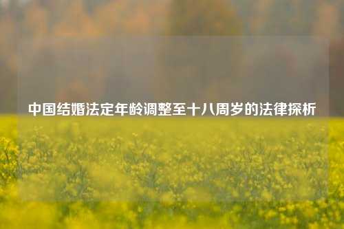 中国结婚法定年龄调整至十八周岁的法律探析