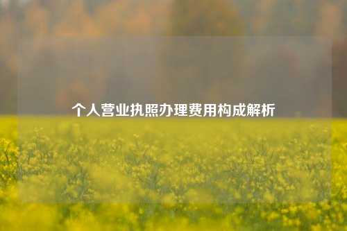 个人营业执照办理费用构成解析